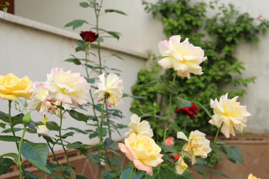 קורדובה Apartamento Jardin De La Ribera. מראה חיצוני תמונה