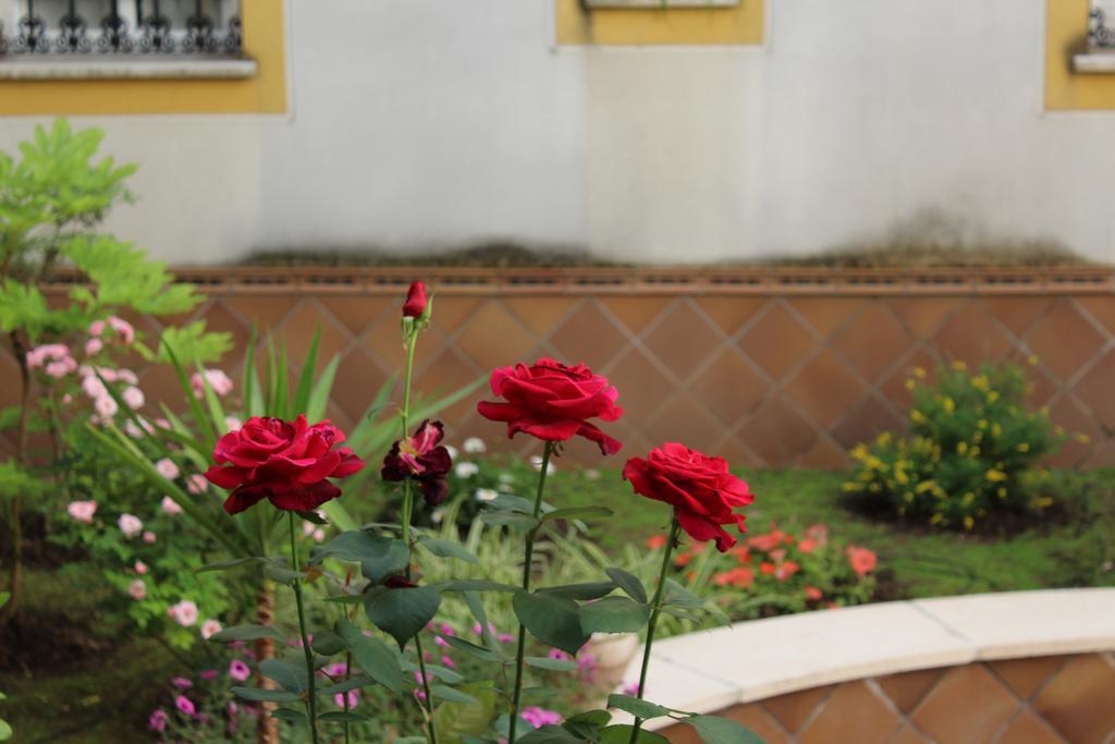 קורדובה Apartamento Jardin De La Ribera. מראה חיצוני תמונה